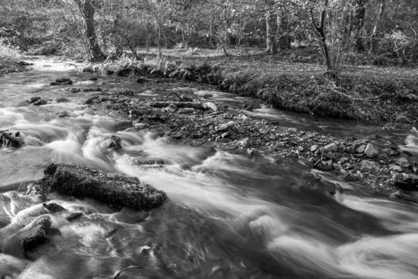 Larga Exposición Del Río Horner Water Que Fluye Través Bosques — Foto de Stock