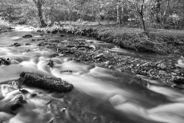 Długa Ekspozycja Rzeki Horner Water Przepływającej Przez Lasy Horner Somerset — Zdjęcie stockowe