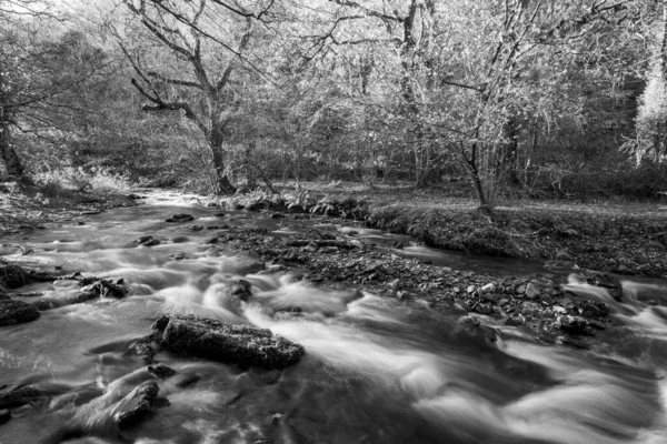 Dlouhá Expozice Horner Water River Tekoucí Lesy Horner Somersetu — Stock fotografie