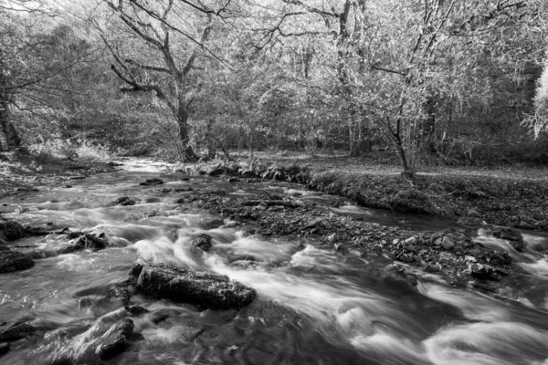 Lunga Esposizione Del Fiume Horner Water Che Scorre Attraverso Boschi — Foto Stock