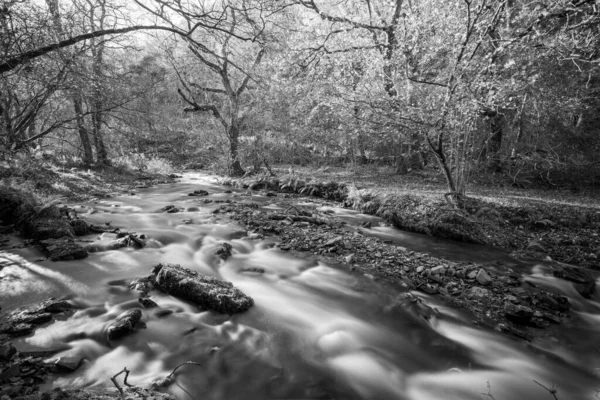 Długa Ekspozycja Rzeki Horner Water Przepływającej Przez Lasy Horner Somerset — Zdjęcie stockowe