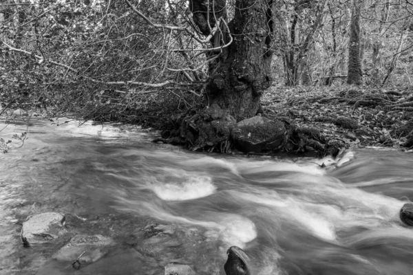 Μεγάλη Έκθεση Του Ποταμού Horner Water Που Ρέει Μέσα Από — Φωτογραφία Αρχείου