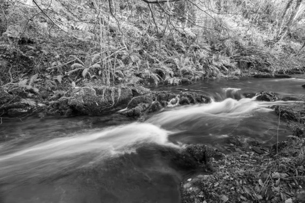 Lång Exponering Horner Water Floden Rinner Genom Horner Skogen Somerset — Stockfoto