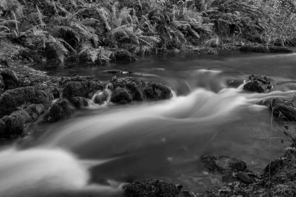 Long Exposure Horner Water River Flowing Horner Woods Somerset — Stock Photo, Image