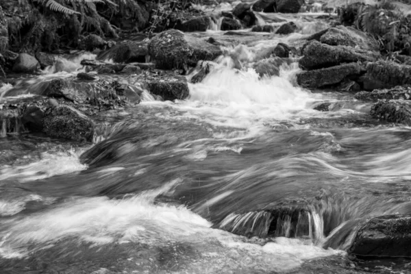 Lunga Esposizione Del Fiume Horner Water Che Scorre Attraverso Boschi — Foto Stock