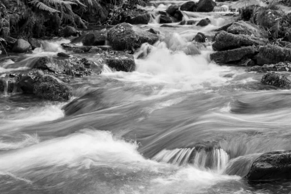 Dlouhá Expozice Horner Water River Tekoucí Lesy Horner Somersetu — Stock fotografie