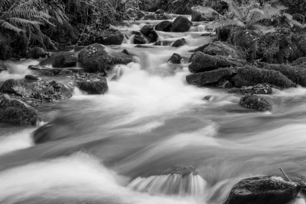 Somerset Teki Horner Ormanı Ndan Akan Horner Nehri Nin Uzun — Stok fotoğraf