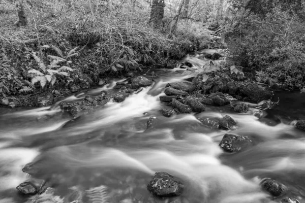 Long Exposure Horner Water River Flowing Horner Woods Somerset — Stock Photo, Image