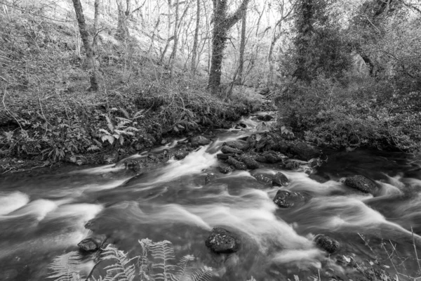 Dlouhá Expozice Horner Water River Tekoucí Lesy Horner Somersetu — Stock fotografie