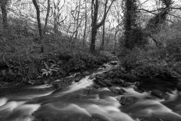 Lång Exponering Horner Water Floden Rinner Genom Horner Skogen Somerset — Stockfoto