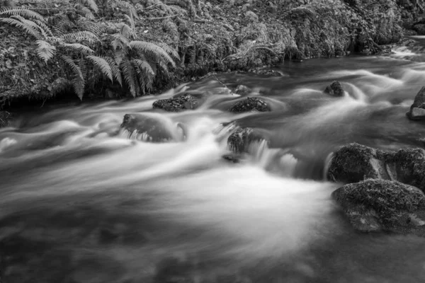 Dlouhá Expozice Horner Water River Tekoucí Lesy Horner Somersetu — Stock fotografie