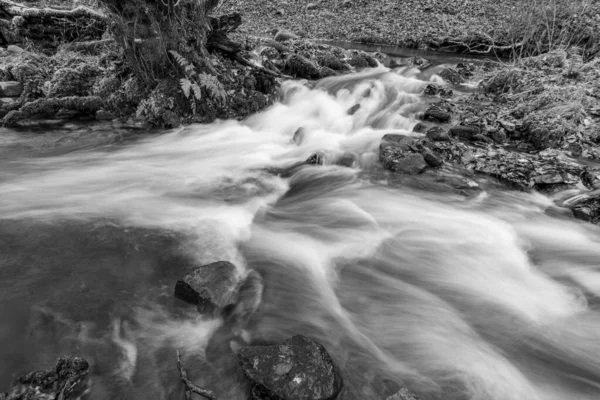 Lång Exponering Horner Water Floden Rinner Genom Horner Skogen Somerset — Stockfoto