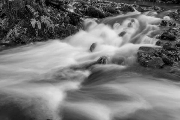 Lång Exponering Horner Water Floden Rinner Genom Horner Skogen Somerset — Stockfoto