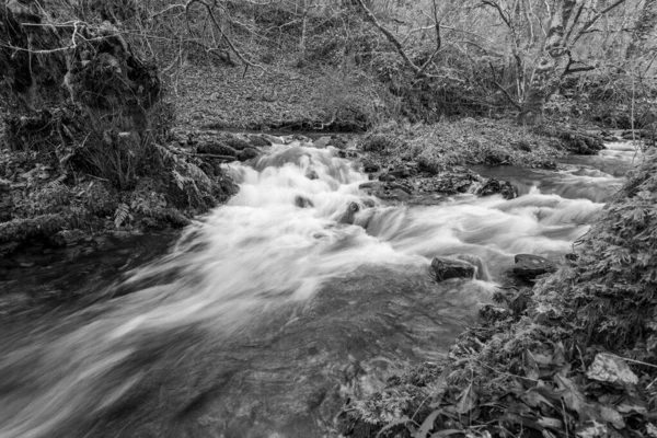 Lång Exponering Horner Water Floden Rinner Genom Horner Skogen Somerset — Stockfoto