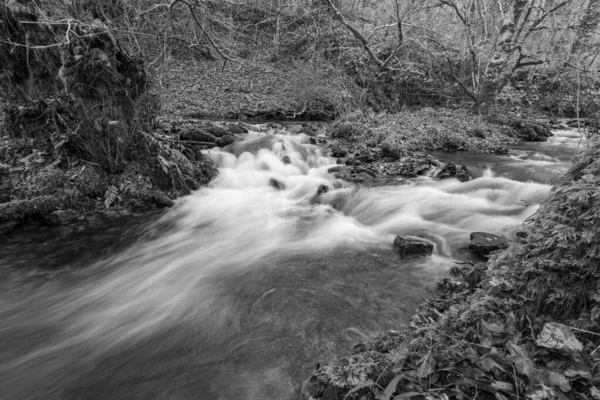 Lunga Esposizione Del Fiume Horner Water Che Scorre Attraverso Boschi — Foto Stock