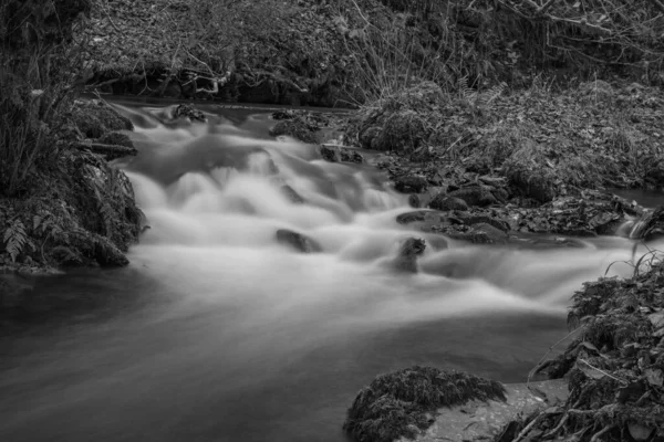 Longue Exposition Rivière Horner Water Qui Coule Travers Les Bois — Photo