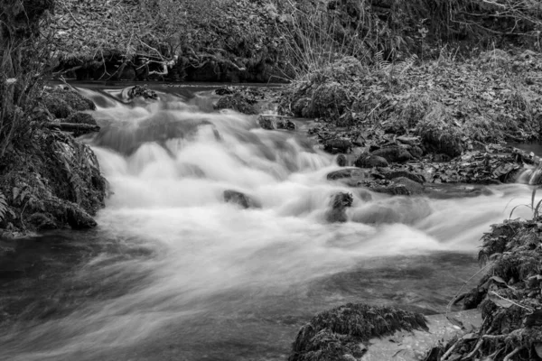 萨默塞特的角水河流经角森林的长期暴露 — 图库照片