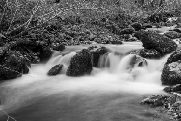 Długa Ekspozycja Rzeki Horner Water Przepływającej Przez Lasy Horner Somerset — Zdjęcie stockowe