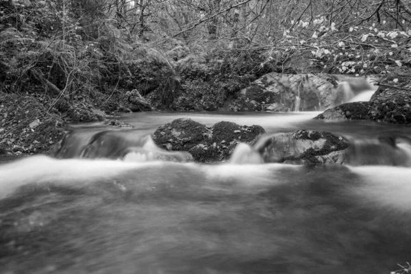 Somerset 'teki Horner Ormanı' ndan akan Horner Nehri 'nin uzun pozu