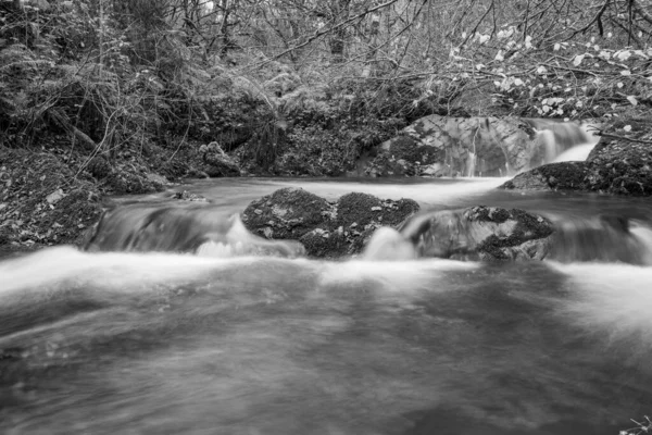 Dlouhá Expozice Horner Water River Tekoucí Lesy Horner Somersetu — Stock fotografie