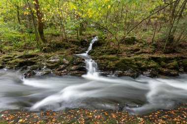 Doğu Lyn nehri üzerinde Exmoor Ulusal Parkı 'ndaki Watersmeet' te uzun süre bir şelale görüldü.