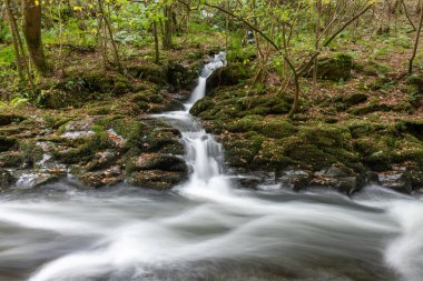Doğu Lyn nehri üzerinde Exmoor Ulusal Parkı 'ndaki Watersmeet' te uzun süre bir şelale görüldü.