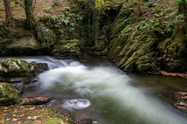 Doğu Lyn nehri üzerinde Exmoor Ulusal Parkı 'ndaki Watersmeet' te uzun süre bir şelale görüldü.