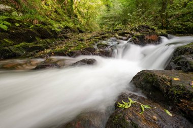 Doğu Lyn nehrinin üzerinde Exmoor Ulusal Parkı 'ndaki Watersmeet' te akan şelalenin uzun pozu