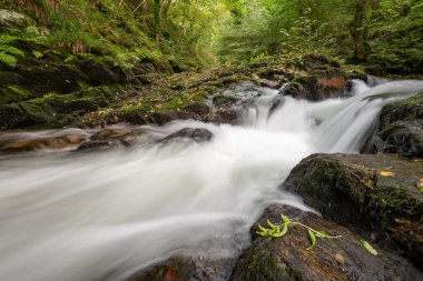 Doğu Lyn nehrinin üzerinde Exmoor Ulusal Parkı 'ndaki Watersmeet' te akan şelalenin uzun pozu