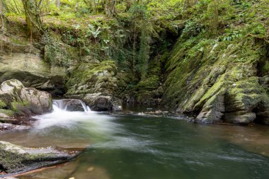 Doğu Lyn nehrinin üzerinde Exmoor Ulusal Parkı 'ndaki Watersmeet' te akan şelalenin uzun pozu