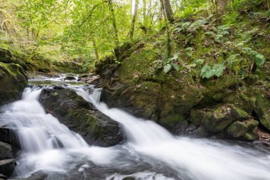 Doğu Lyn nehrinin üzerinde Exmoor Ulusal Parkı 'ndaki Watersmeet' te akan şelalenin uzun pozu