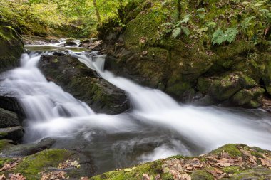Doğu Lyn nehrinin üzerinde Exmoor Ulusal Parkı 'ndaki Watersmeet' te akan şelalenin uzun pozu