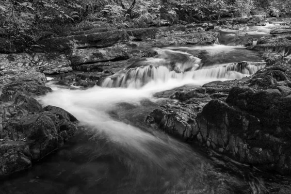 埃克斯莫尔国家公园内水流过森林的东连河上的瀑布长期暴露在水面上 — 图库照片