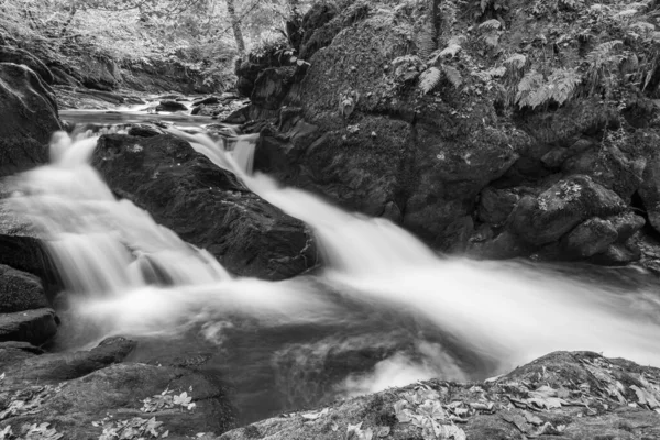 エキスモア国立公園のウォーターズミートの森を流れるイーストリン川の滝の長い露出 — ストック写真
