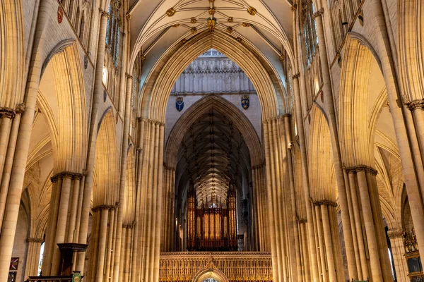 York Yorkshire Wielka Brytania Lutego 2022 Organem Jest Katedra York — Zdjęcie stockowe