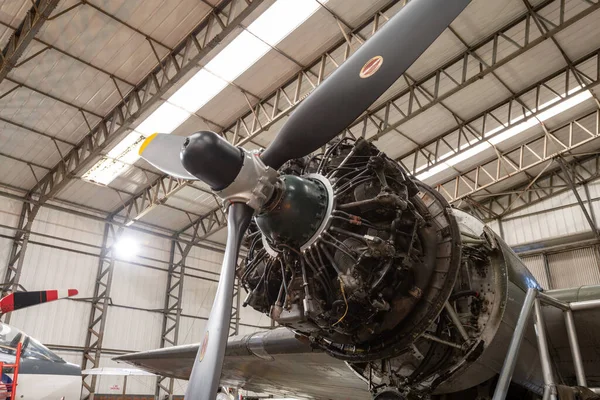 Yorkshire. Birleşik Krallık. 16 Şubat 2022. Yorkshire Hava Müzesi 'nde sergilenen Douglas Dakota 4 nakliye uçağının pervanesini kapatın.