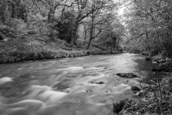 Lång Exponering East Lyn Floden Rinner Genom Skogen Vid Watersmeet — Stockfoto