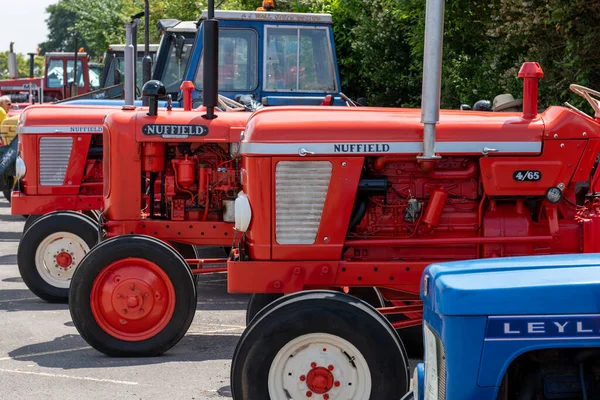 Honiton. Devon. Birleşik Krallık. 2 Temmuz 2021. Devon ilçe gösterisinde bir dizi Nuffield traktörü sergileniyor.