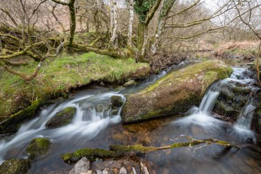 Weir Nehri 'nin Exmoor Ulusal Parkı' ndaki Hırsızlar Köprüsü 'ndeki vadiden geçişi uzun sürdü.
