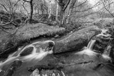 Weir Nehri 'nin Exmoor Ulusal Parkı' ndaki Hırsızlar Köprüsü 'ndeki vadiden geçişi uzun sürdü.
