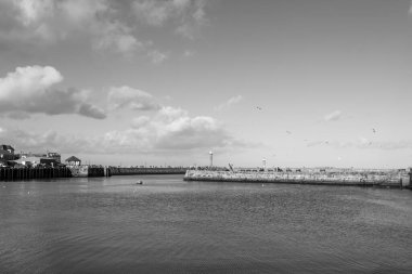 Kuzey Yorkshire Whitby Limanı