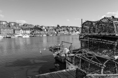 Whitby 'nin Kuzey Yorkshire' daki manzara fotoğrafı.