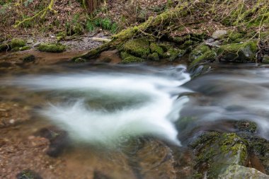 Somerset 'teki Horner Ormanı' ndan akan Horner Nehri 'nin uzun pozu