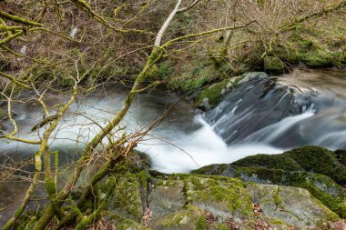 Somerset 'teki Horner Ormanı' ndan akan Horner Nehri 'nin uzun pozu