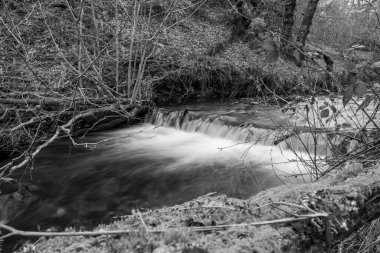 Somerset 'teki Horner Ormanı' ndan akan Horner Nehri 'nin uzun pozu
