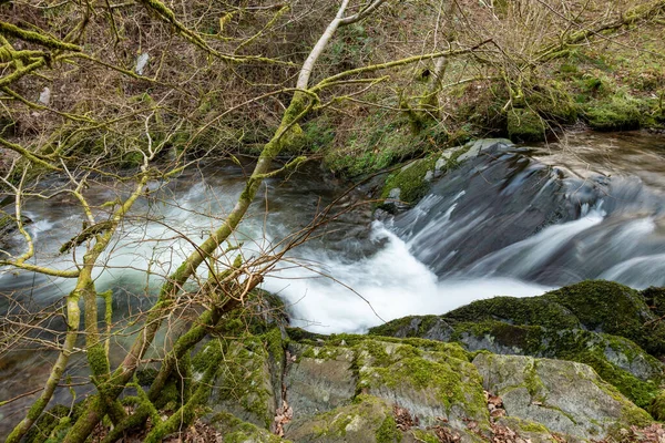 Somerset 'teki Horner Ormanı' ndan akan Horner Nehri 'nin uzun pozu