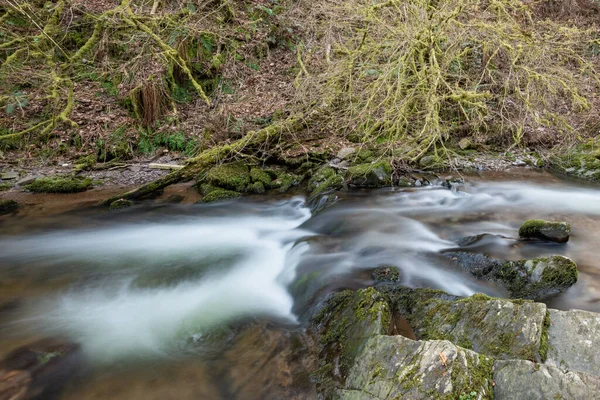 Somerset 'teki Horner Ormanı' ndan akan Horner Nehri 'nin uzun pozu