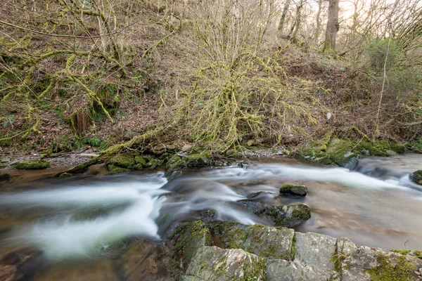 Lång Exponering Horner Water Floden Rinner Genom Horner Skogen Somerset — Stockfoto