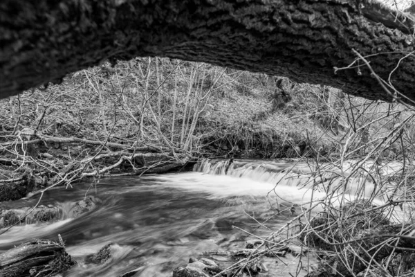 Lång Exponering Horner Water Floden Rinner Genom Horner Skogen Somerset — Stockfoto