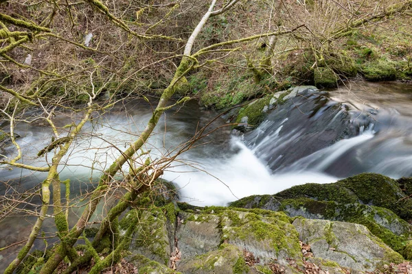 Longue Exposition Rivière Horner Water Qui Coule Travers Les Bois — Photo